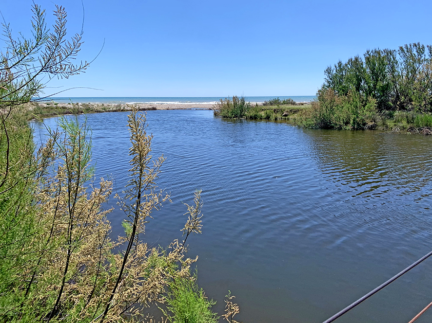 Espai Natural de la desembocadura del riu Foix a Cubelles