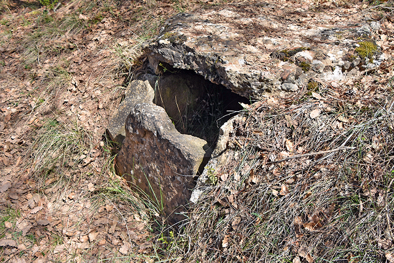 Dolmen de la fossa del camí dels Casals a Pinell de Solsonès ***