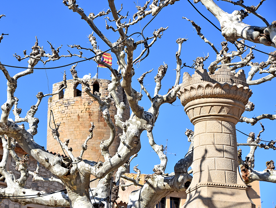 Font de la Plaça Major de Verdú
