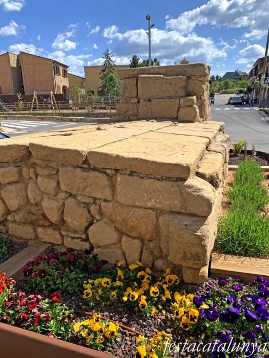 L'Albi - Pou del Portal 