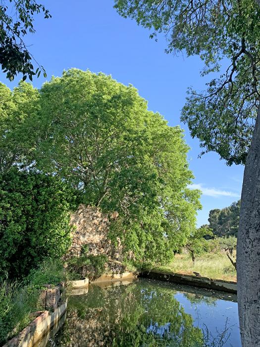 Molins de Riudecanyes