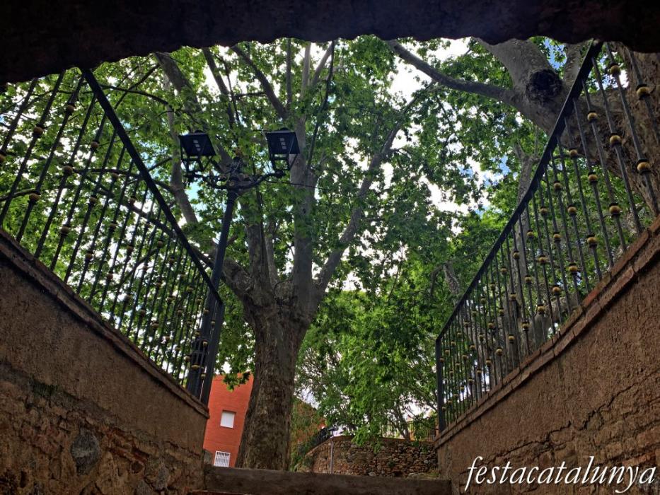 Botarell - La Font Vella 