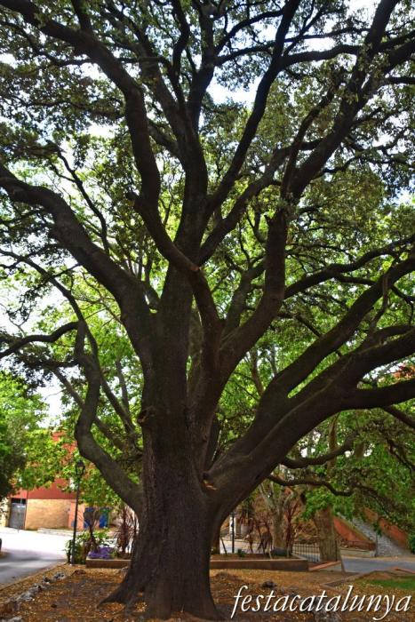 Botarell - La Font Vella 