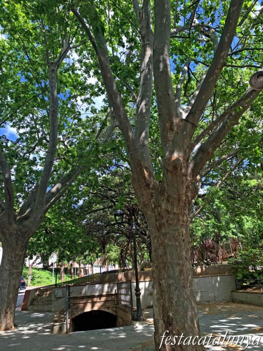 Botarell - La Font Vella 