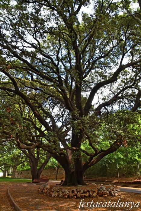 Botarell - La Font Vella 