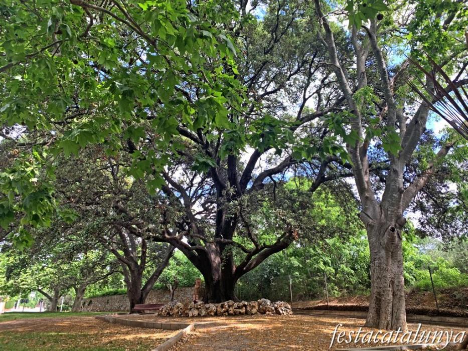 Botarell - La Font Vella 