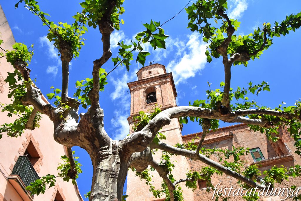 Botarell - Plataner de la Plaça de l'Església 