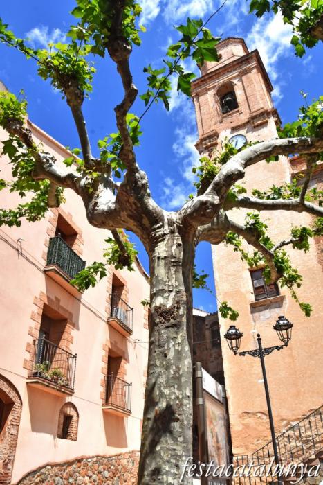 Botarell - Plataner de la Plaça de l'Església 