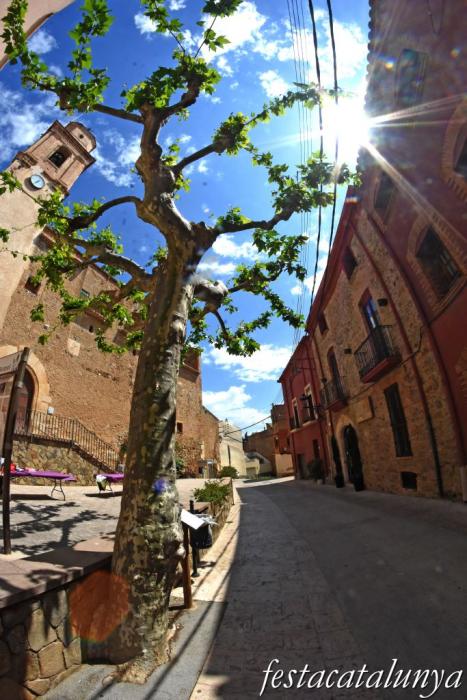 Botarell - Plataner de la Plaça de l'Església 