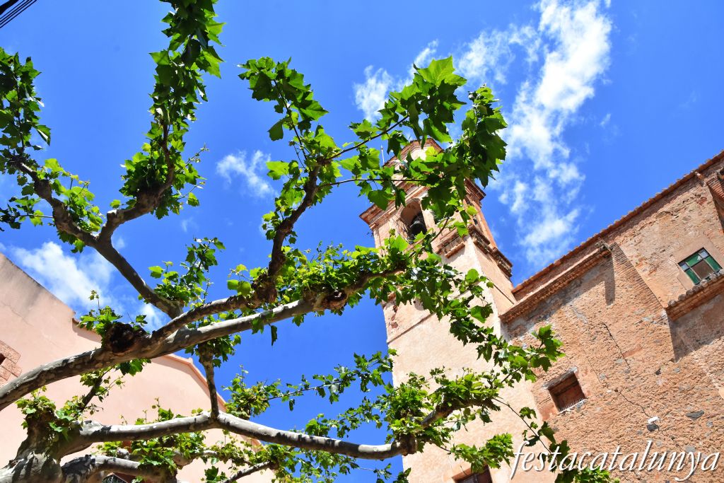 Botarell - Plataner de la Plaça de l'Església 