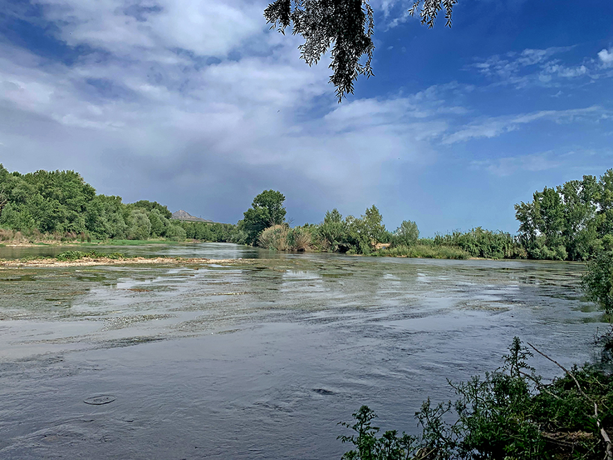 Aiguabarreig del Segre i el Cinca a la Granja d'Escarp