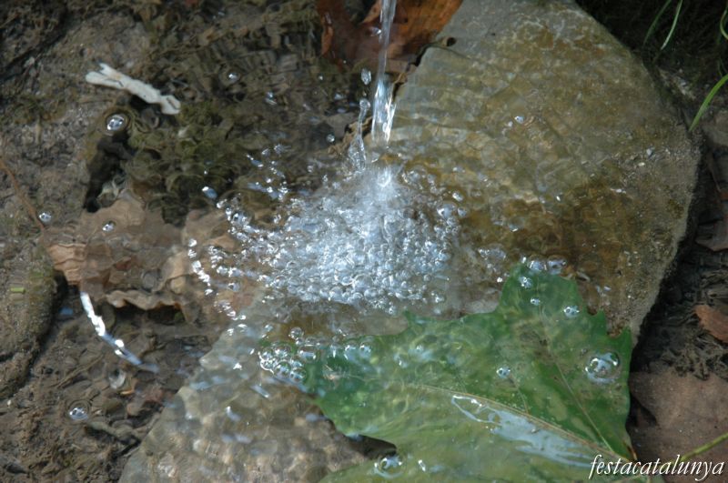 Altres llocs per visitar