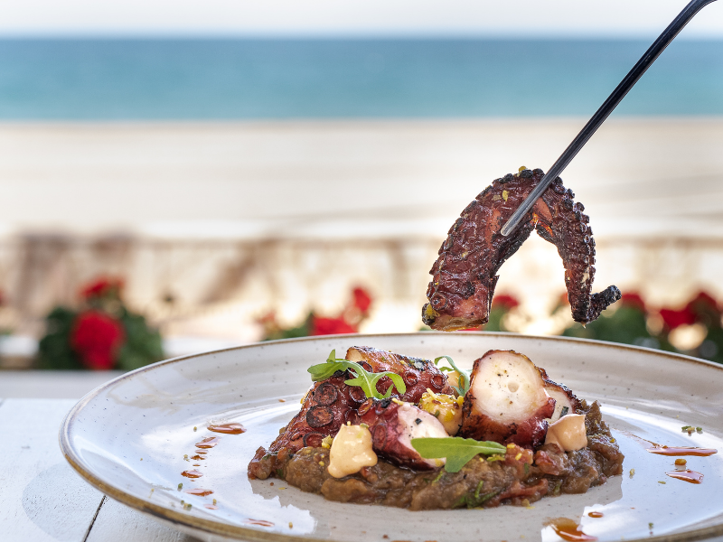 Jornades Gastronòmiques del Pop de Mont-roig del Camp i Miami Platja