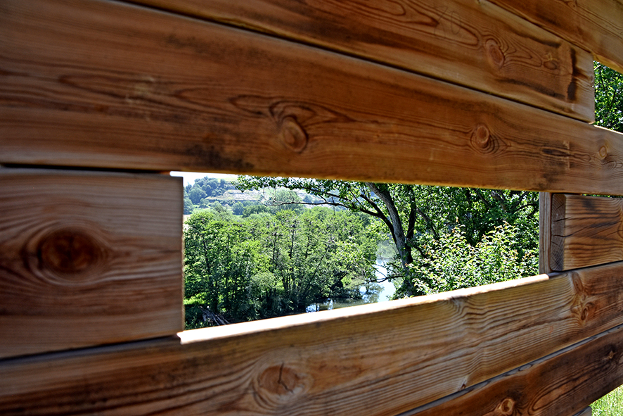 Aguait d'ocells ardeids a la vora del Ter a les Masies de Voltregà ***