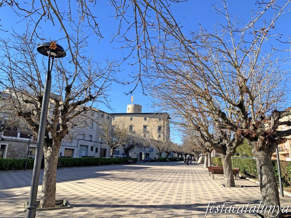 Santa Coloma de Queralt - Castell dels Comtes 