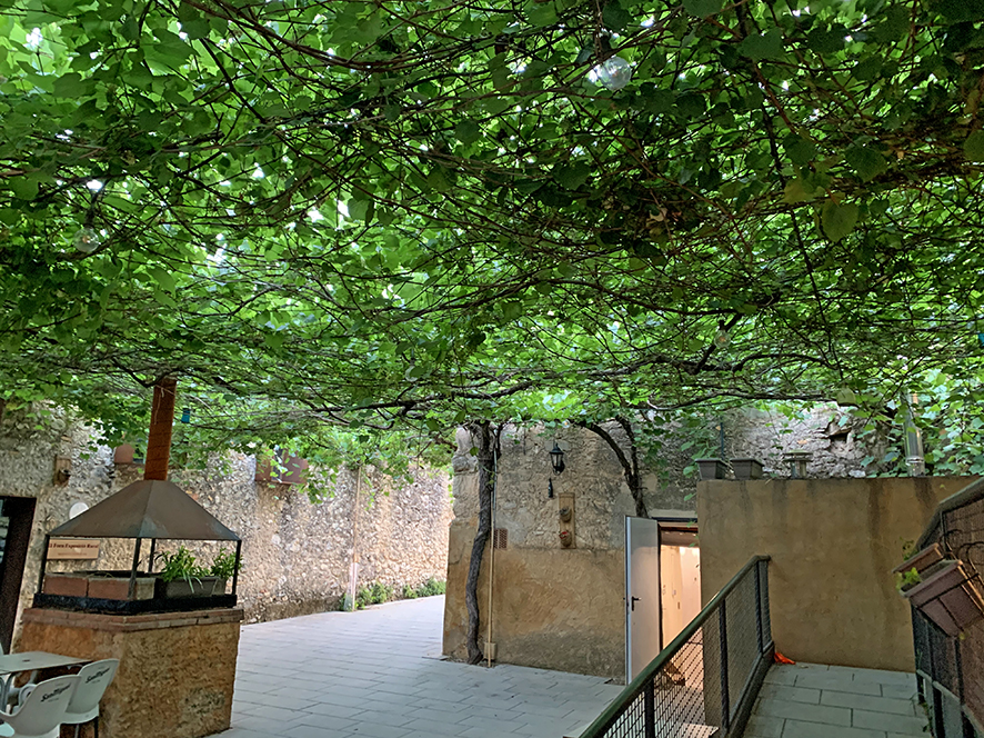 Sant Cugat Sesgarrigues - La Parra del Sindicat Agrícola Cooperatiu