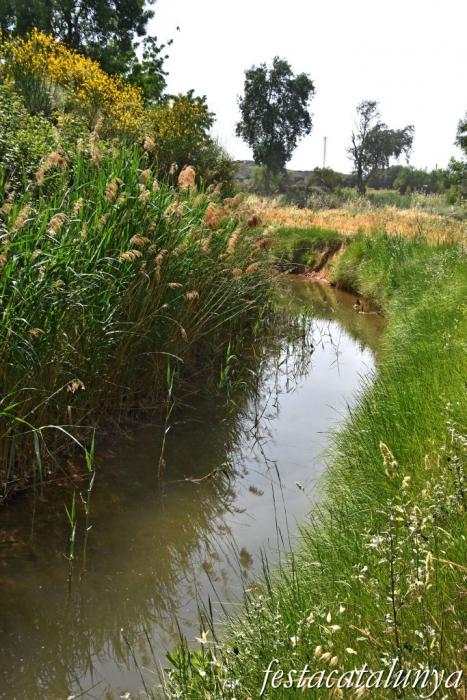 Puigverd de Lleida - Canal d'Urgell 
