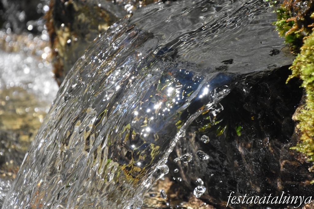 Santa Maria de Palautordera - Parc de l'Arboretum, l'Arbreda del Montseny 