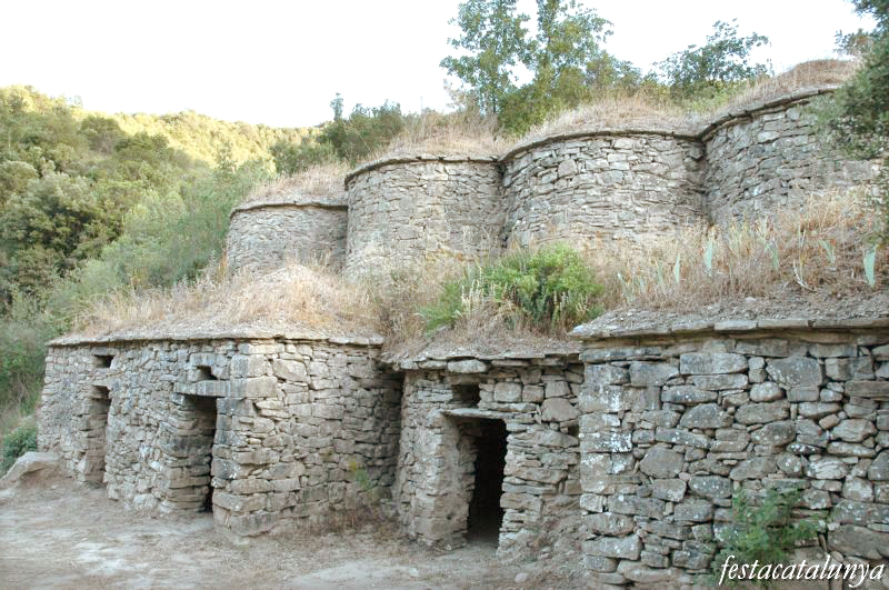 Tines de la Bleda a la vall del Flequer al Pont de Vilomara i Rocafort ***