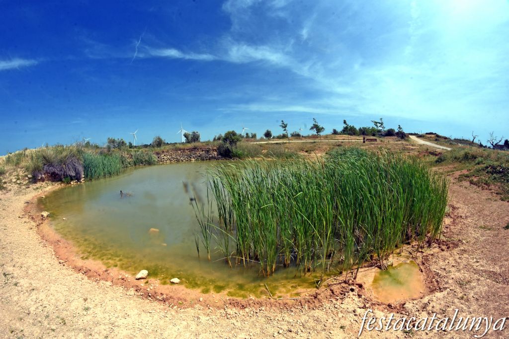 La Granadella - Bassa Novella 