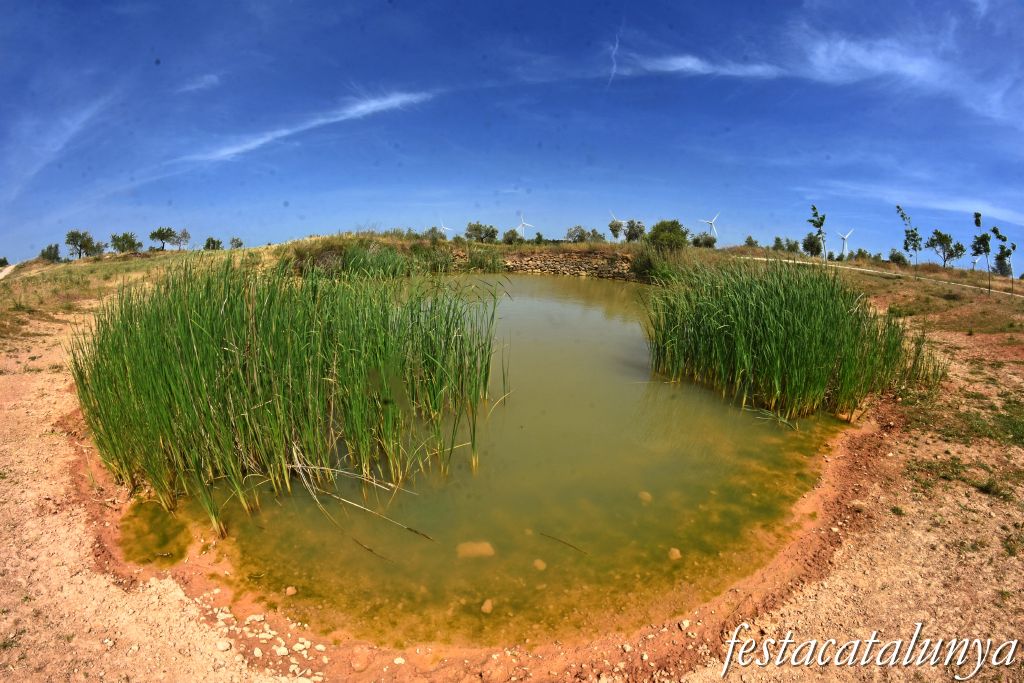 La Granadella - Bassa Novella