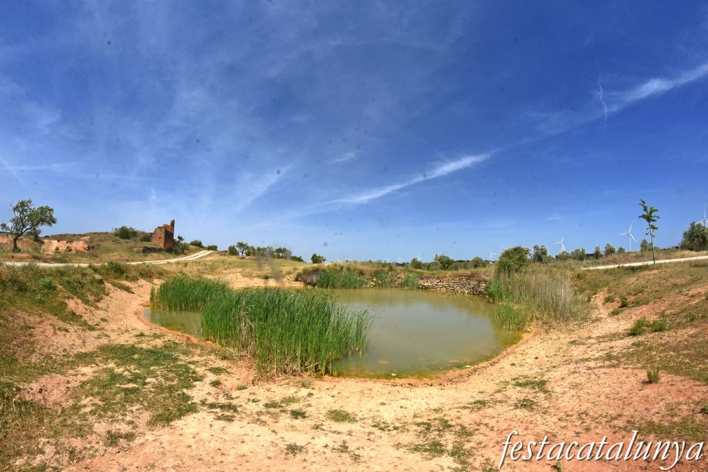 La Granadella - Bassa Novella