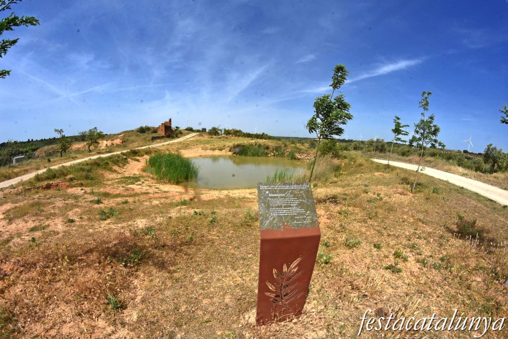 La Granadella - Bassa Novella