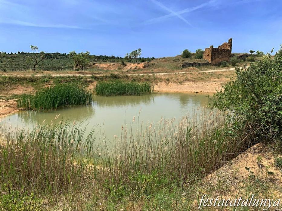 La Granadella - Bassa Novella 