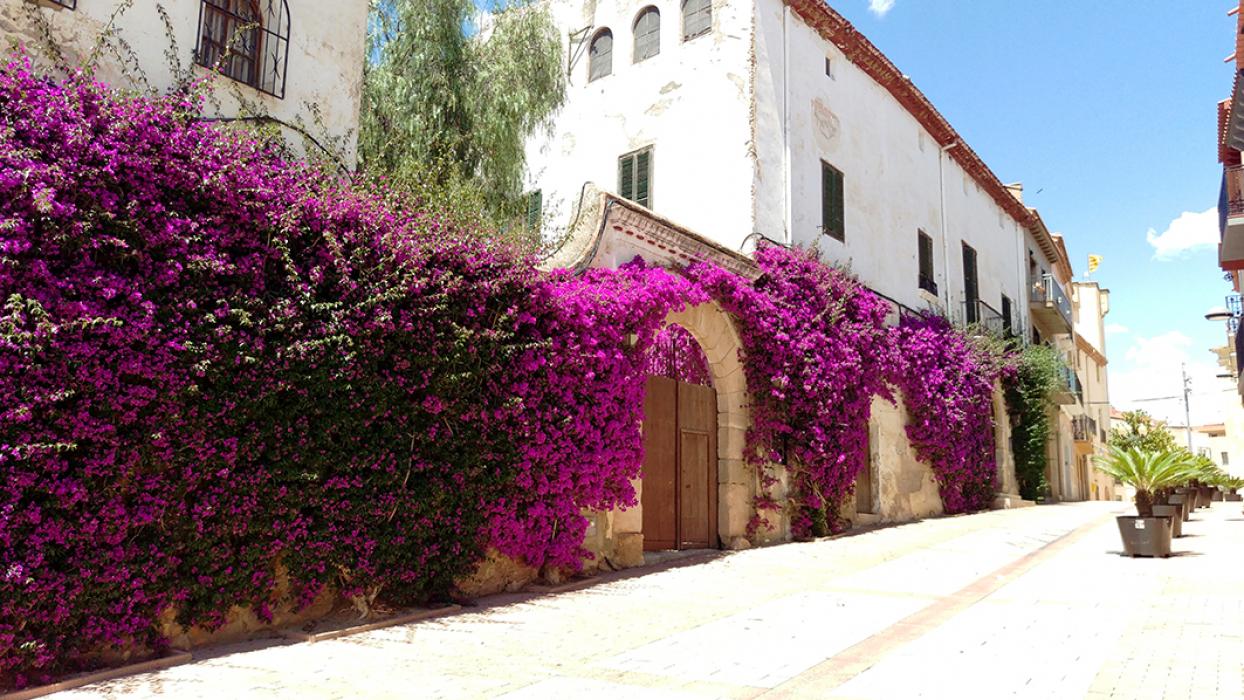 Can Nicolau o Casa de Doña Blanca de Vinyols i els Arcs