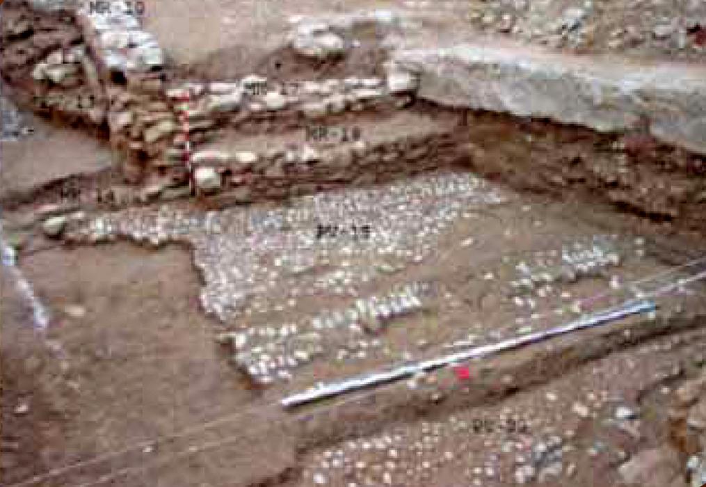 Paviment del camí ral a Molins de Rei