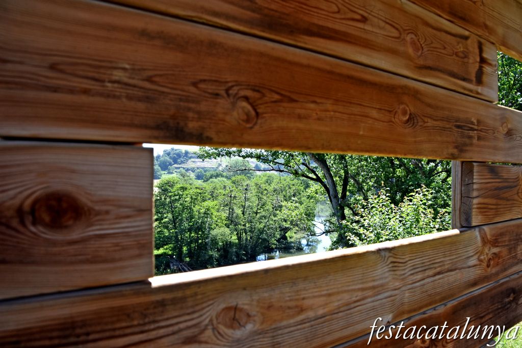 es Masies de Voltregà - Aguait d'ocells ardeids a la vora del Ter 