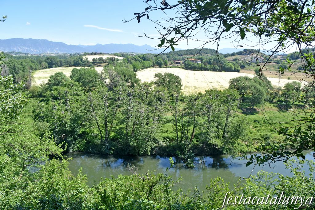 es Masies de Voltregà - Aguait d'ocells ardeids a la vora del Ter 