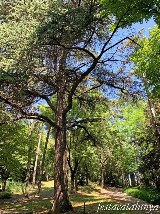 Les Masies de Voltregà - Jardins del Despujol 