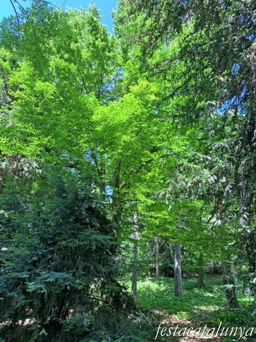 Les Masies de Voltregà - Jardins del Despujol  