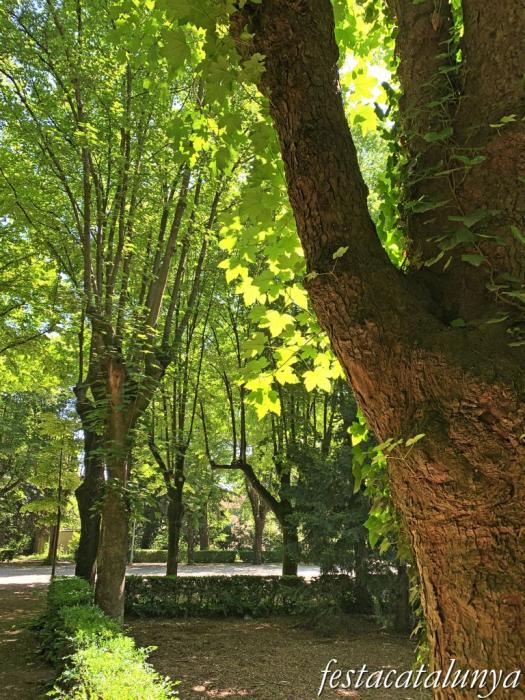 Les Masies de Voltregà - Jardins del Despujol 