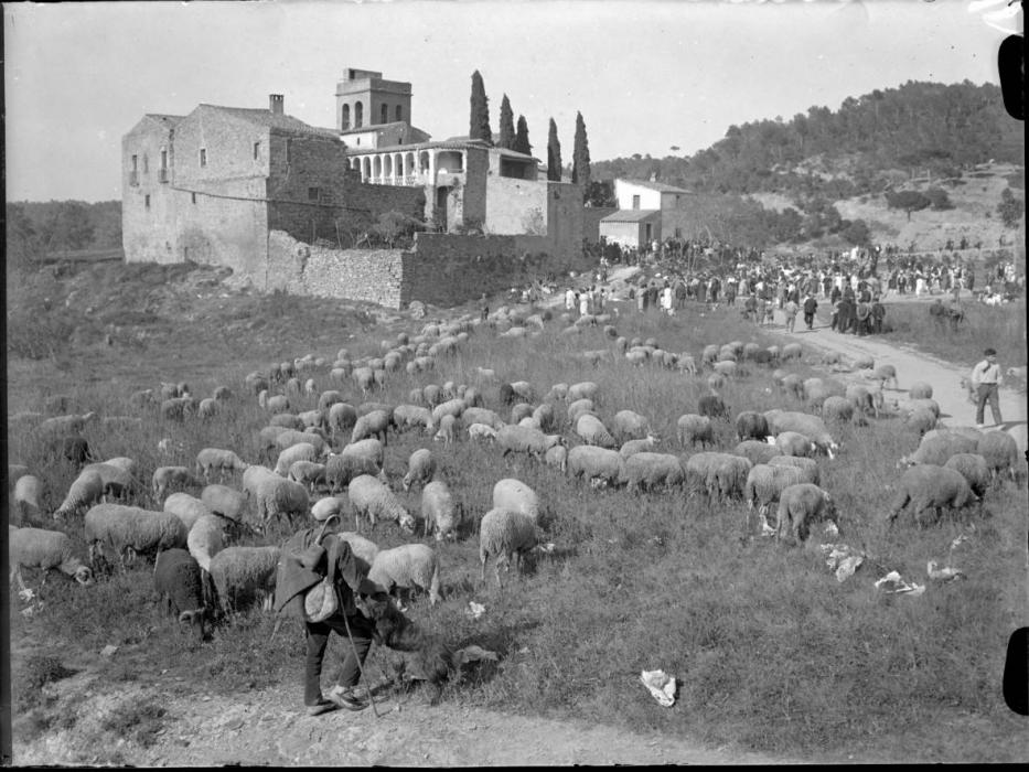Camí antic a Santa Creu d'Olorda