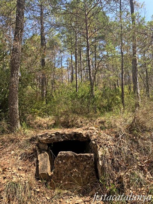 Pinell de Solsonès - Dolmen de la fossa del camí dels Casals 