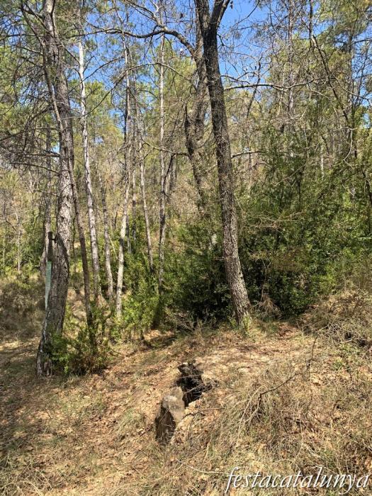 Pinell de Solsonès - Dolmen de la fossa del camí dels Casals 