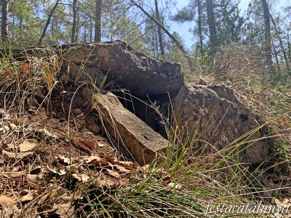 Pinell de Solsonès - Dolmen de la fossa del camí dels Casals 