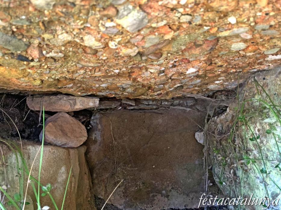Pinell de Solsonès - Dolmen de la fossa del camí dels Casals 