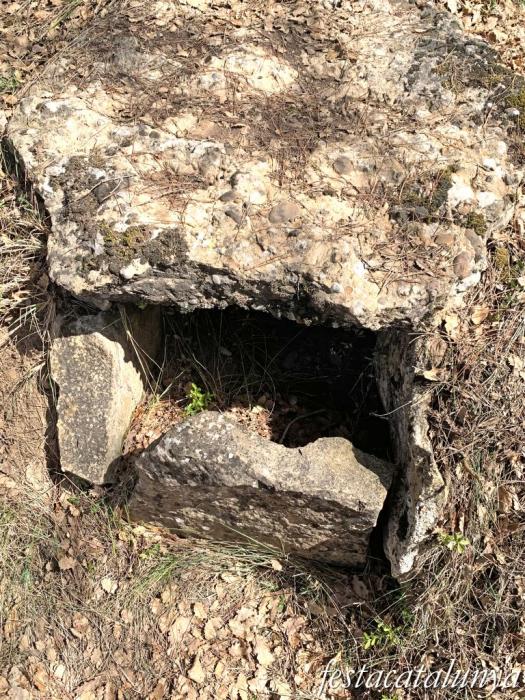 Pinell de Solsonès - Dolmen de la fossa del camí dels Casals