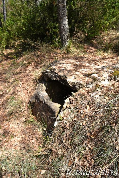 Pinell de Solsonès - Dolmen de la fossa del camí dels Casals