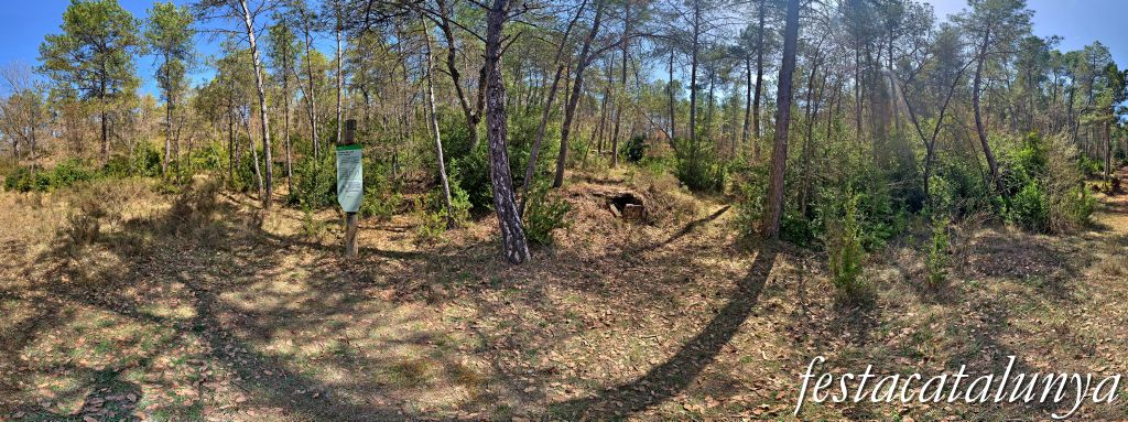 Pinell de Solsonès - Dolmen de la fossa del camí dels Casals 