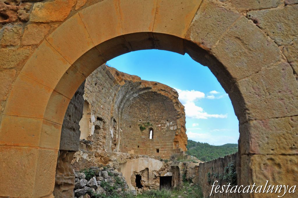 Pinell de Solsonès - Castell i antiga església de Sant Pere de Madrona 