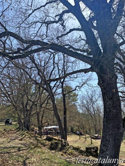 Pinell de Solsonès - Àrea de lleure de les Fonts a Sant Climenç 