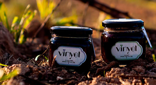 Passejada entre vinyes i vista a l'Obrador de melmelades de raïm Vinyet a Subirats