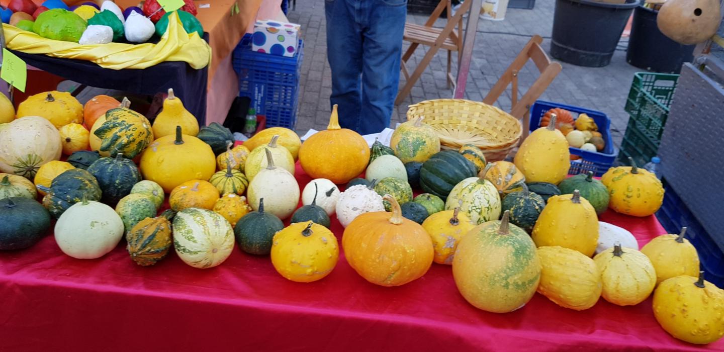 Fira de la Carbassa de Sant Feliu de Codines