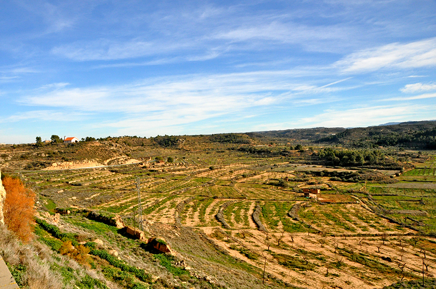 Mirador de Granyena de les Garrigues