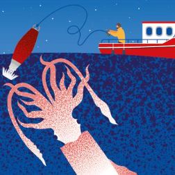 Calamarenys, Jornades Gastronòmiques del Calamar d'Arenys de Mar