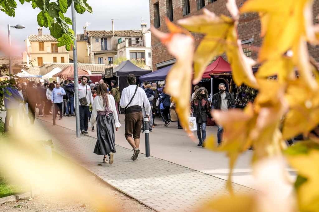 Fira de les Bruixes de Sant Feliu Sasserra